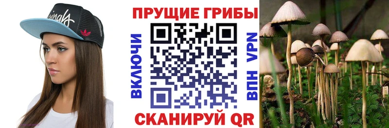 Псилоцибиновые грибы Psilocybe  где купить наркоту  блэк спрут ONION  Ленск 